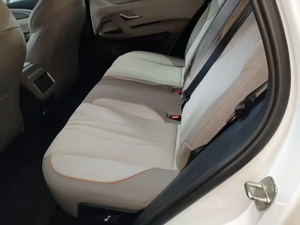 BYD Pro New Energy — миниатюра 17