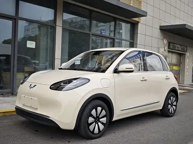 2026 Wuling Motors Binguo