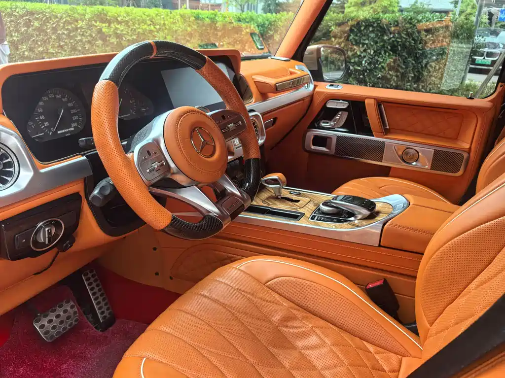 Mercedes-Benz G-Class G 2010 G 500