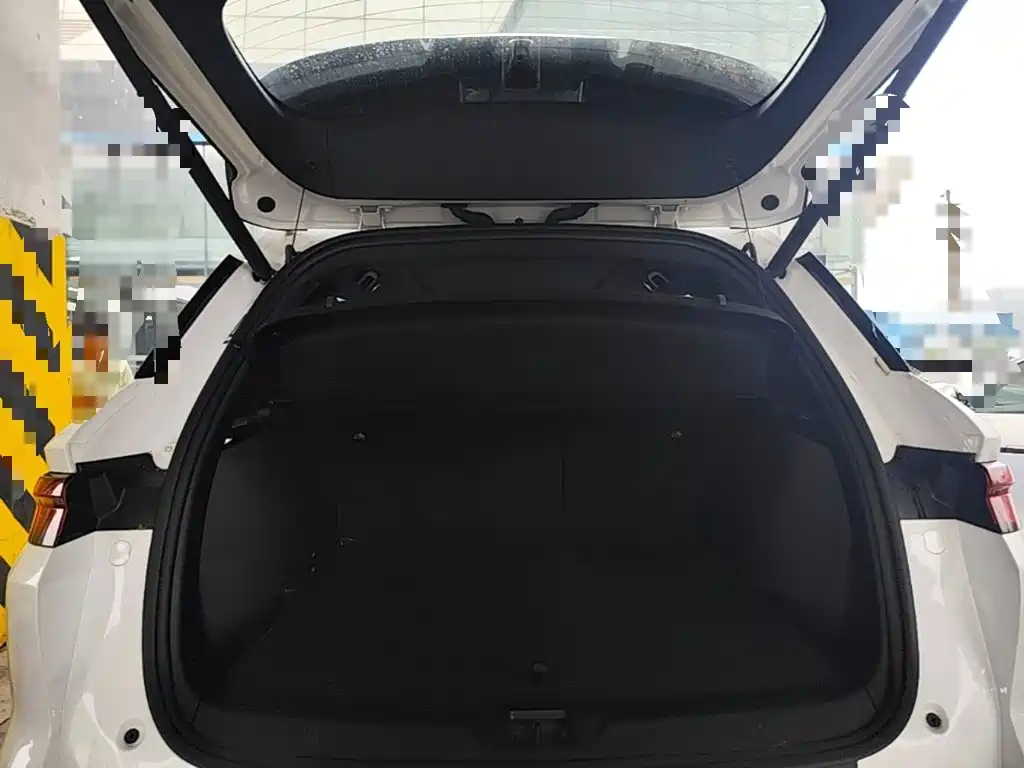 BYD Pro New Energy — миниатюра 19