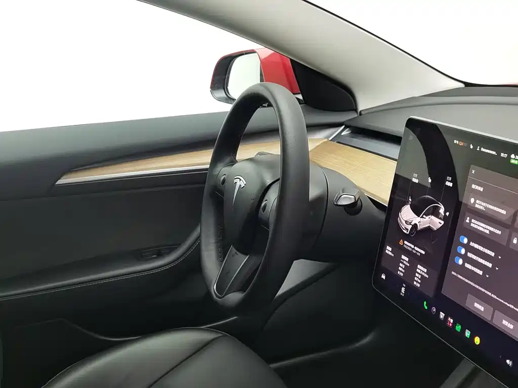 Tesla Model 3 — миниатюра 22