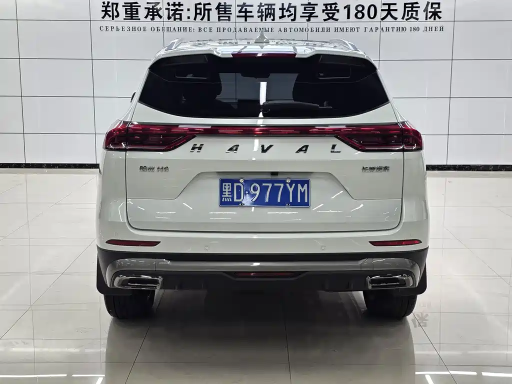Haval H6 — миниатюра 5