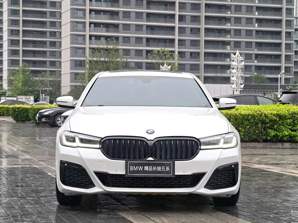 BMW 5 Series 5 2019 530Li Lead M Sport