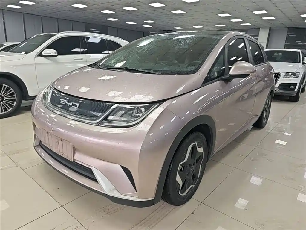 Byd Dolphin 2022