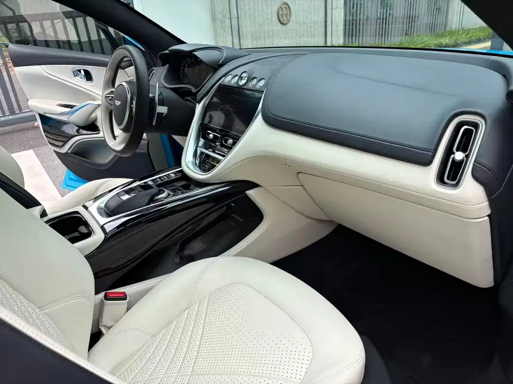 Aston Martin DBX — миниатюра 17