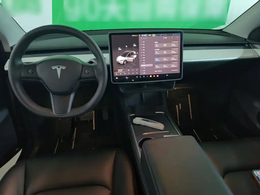 Tesla Model Y — миниатюра 10