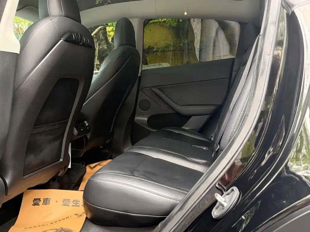 Tesla Model Y — миниатюра 8
