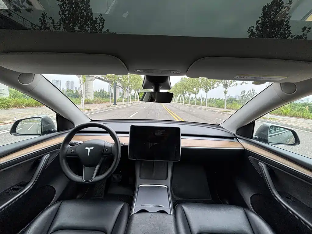 Tesla Model Y — миниатюра 15