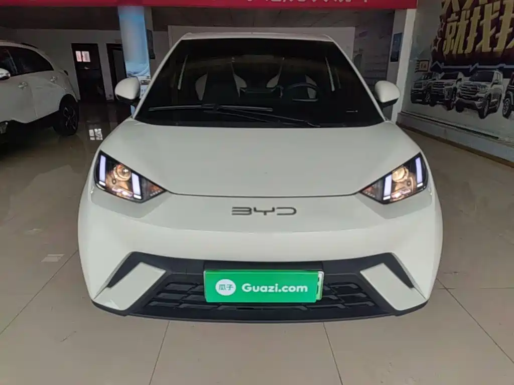 BYD Seagull 2024 305km