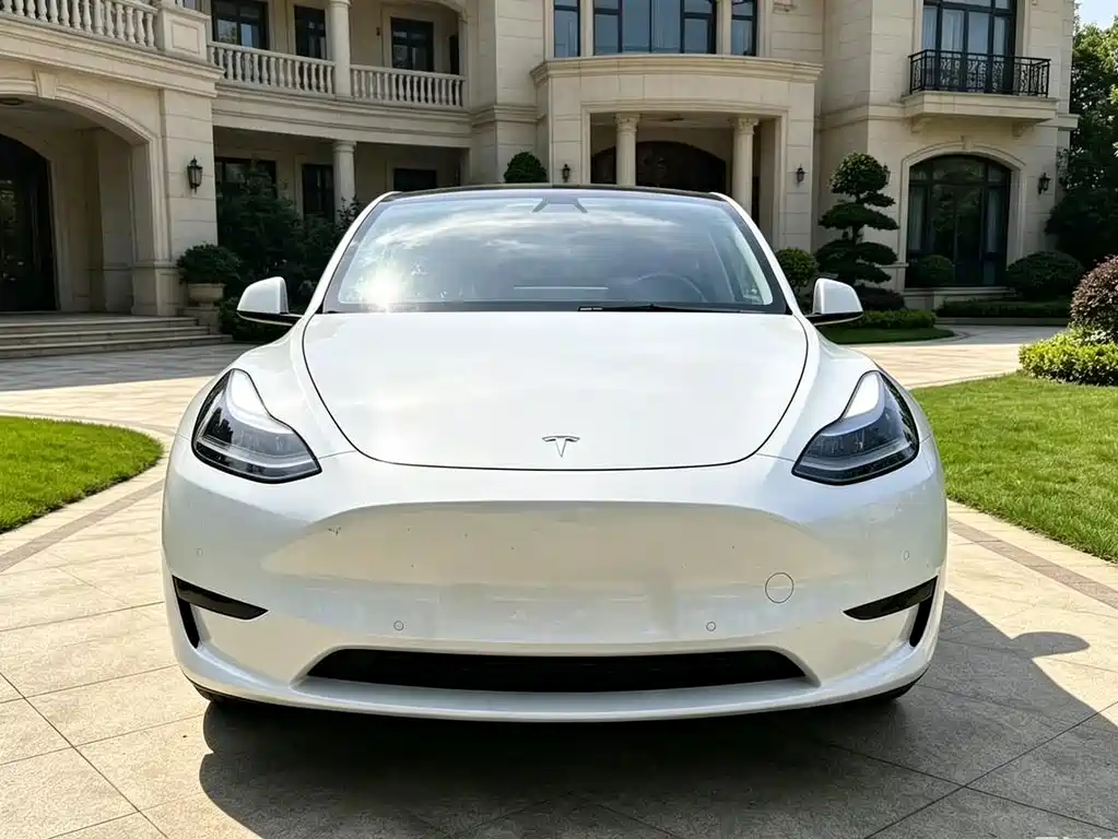 Tesla Model Y — миниатюра 2