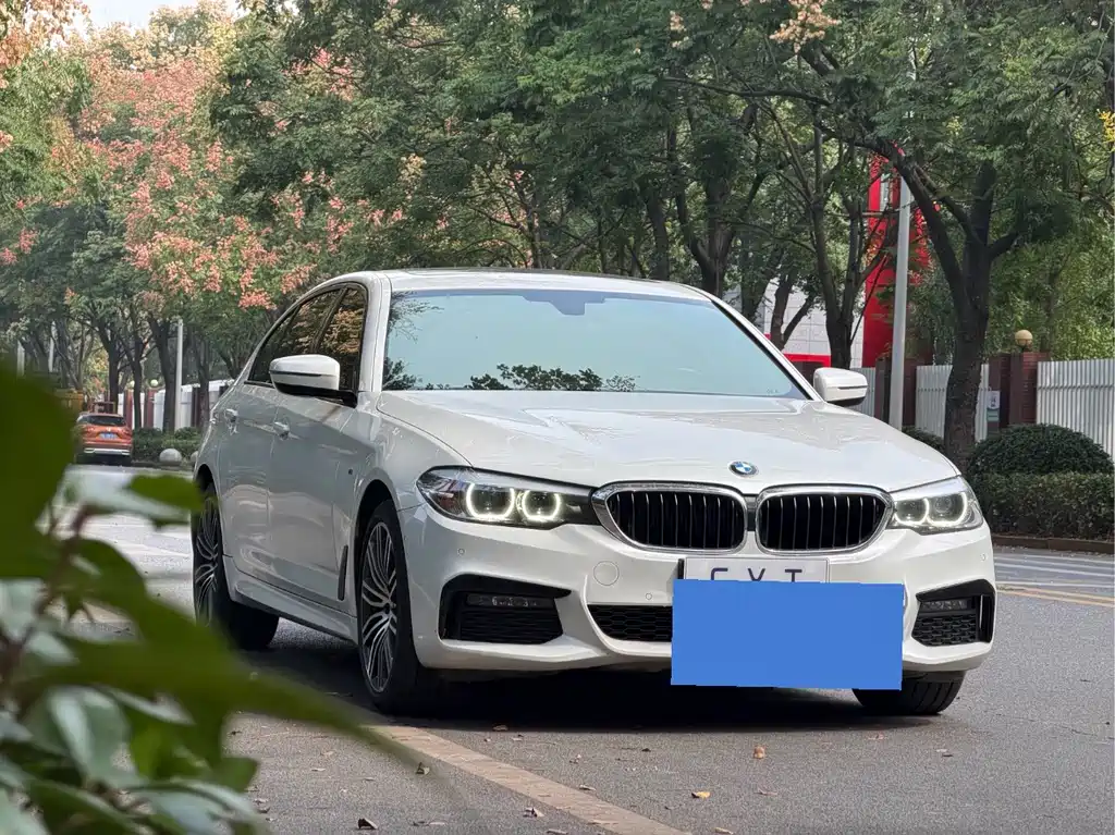 BMW 5 Series — миниатюра 3