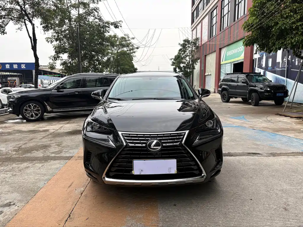 Lexus NX — миниатюра 2
