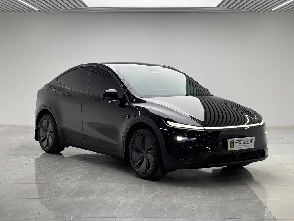Tesla Model Y — миниатюра 3