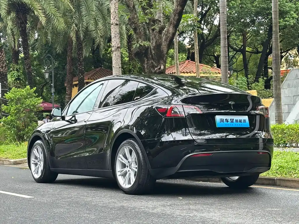 Tesla Model Y — миниатюра 4