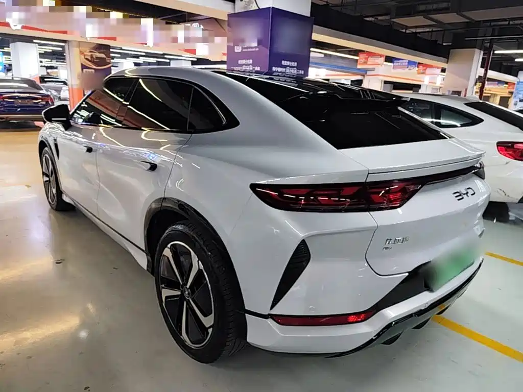 BYD L EV — миниатюра 5
