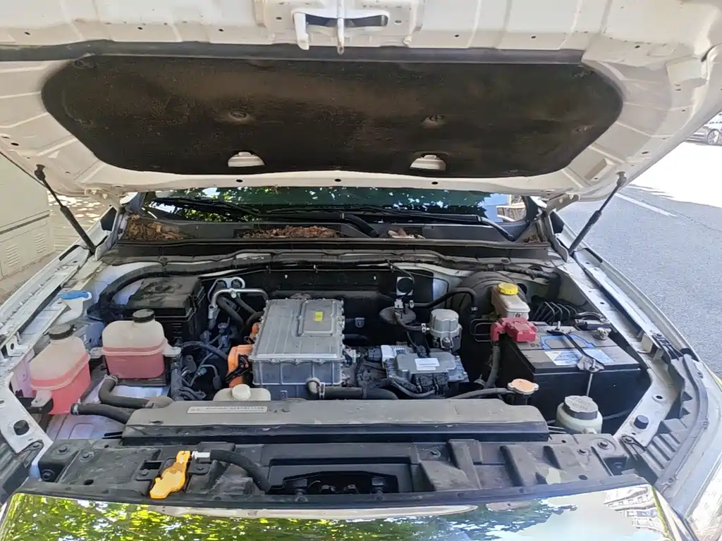 Dongfeng Rich 6 New Energy — миниатюра 15
