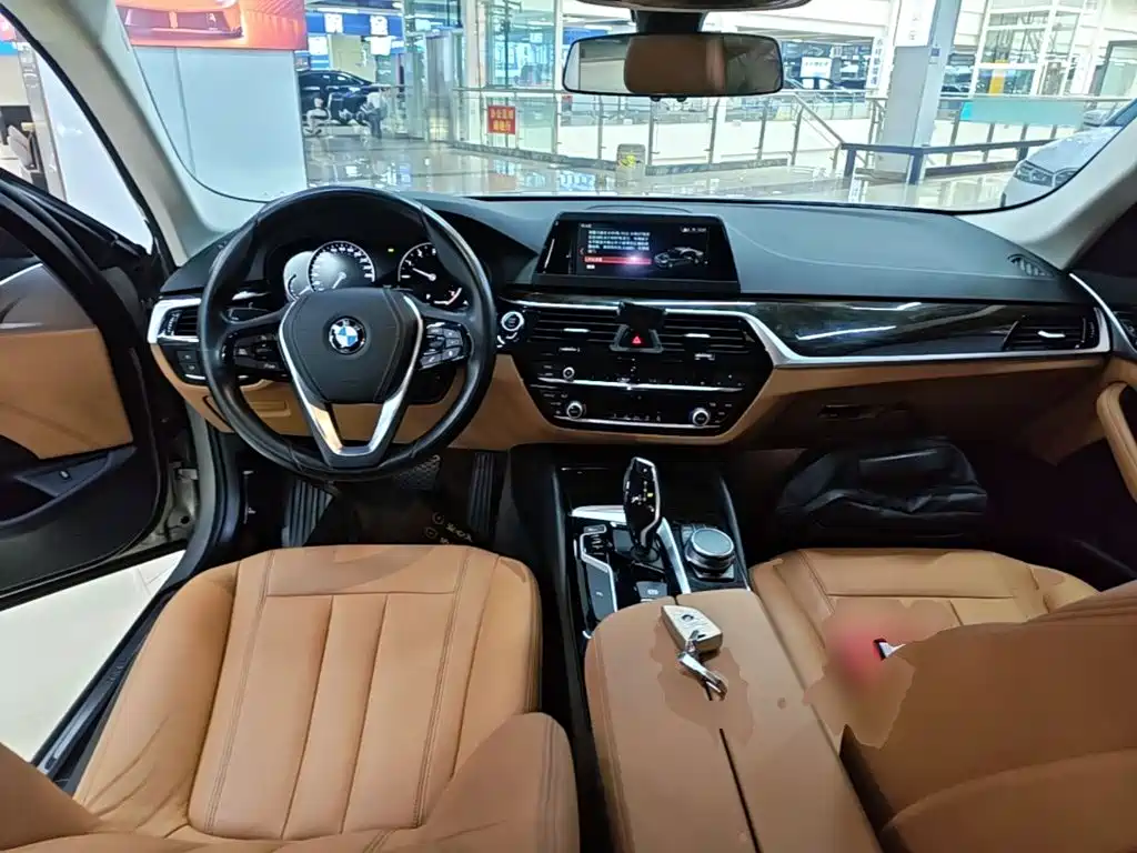 BMW 5 Series 5 2018 528Li