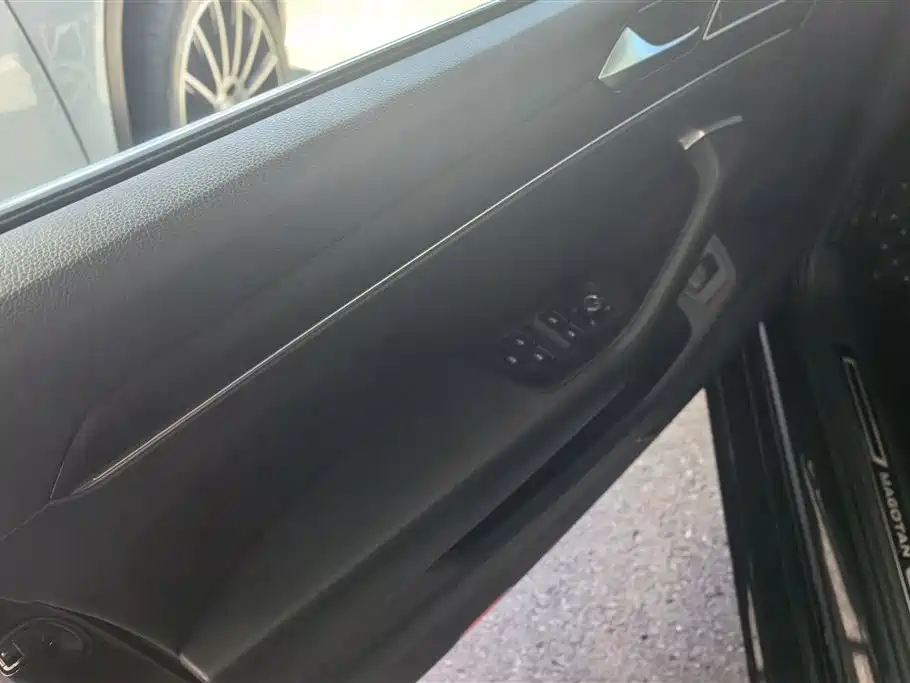 Volkswagen Magotan 2020 330TSI DSG Luxury