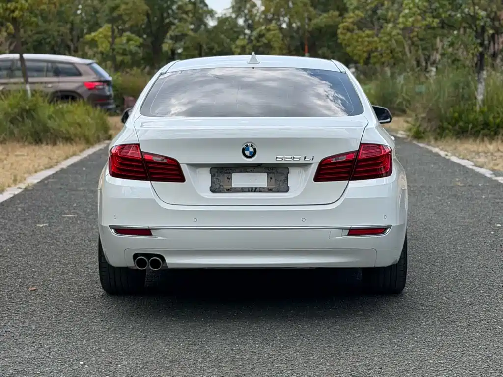 BMW 5 Series — миниатюра 19