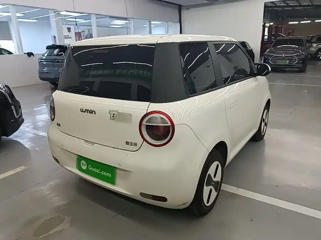 Qiyuan Lumin — миниатюра 7
