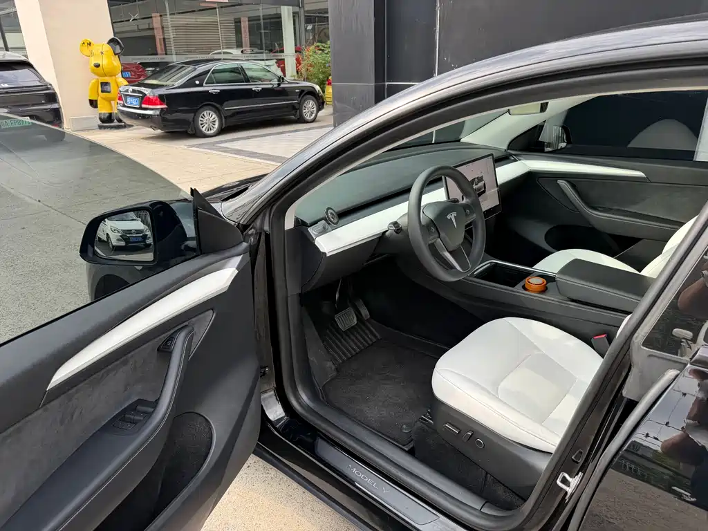 Tesla Model Y — миниатюра 4