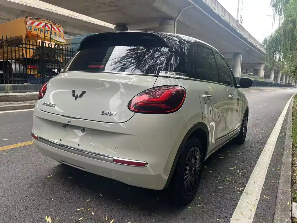 Wuling Binguo 2023 333km +