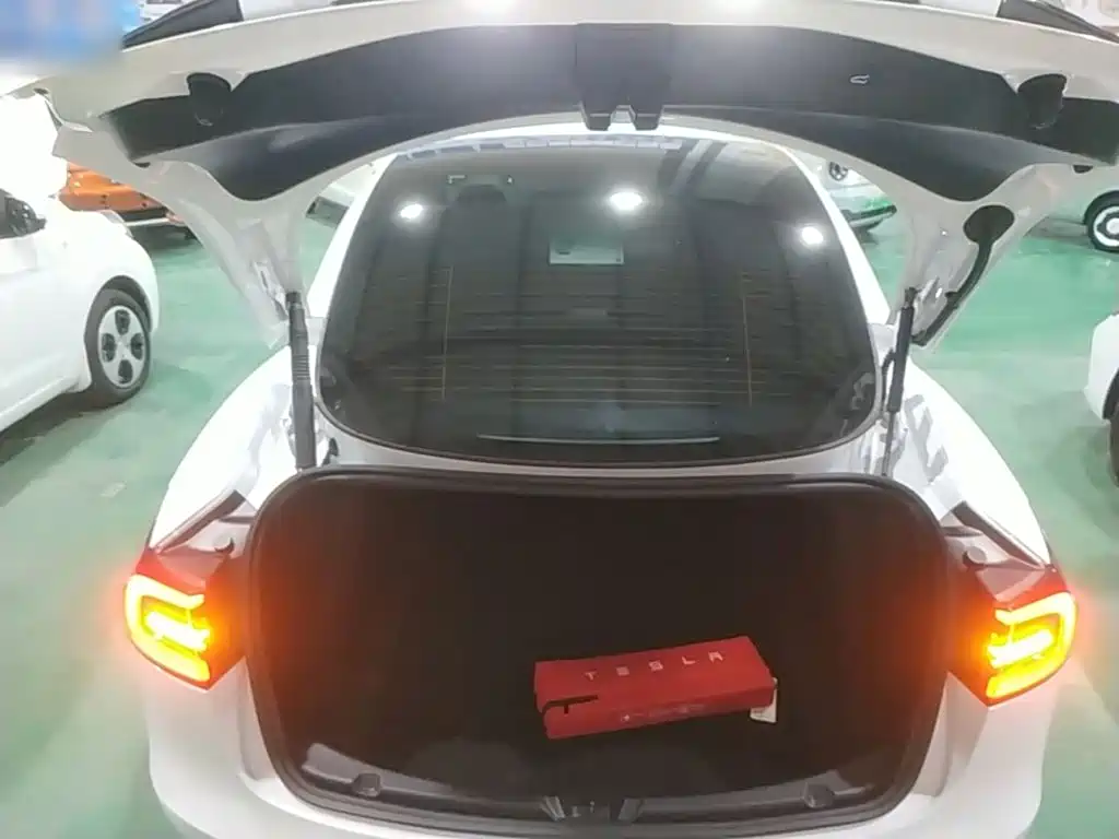 Tesla Model 3 — миниатюра 19