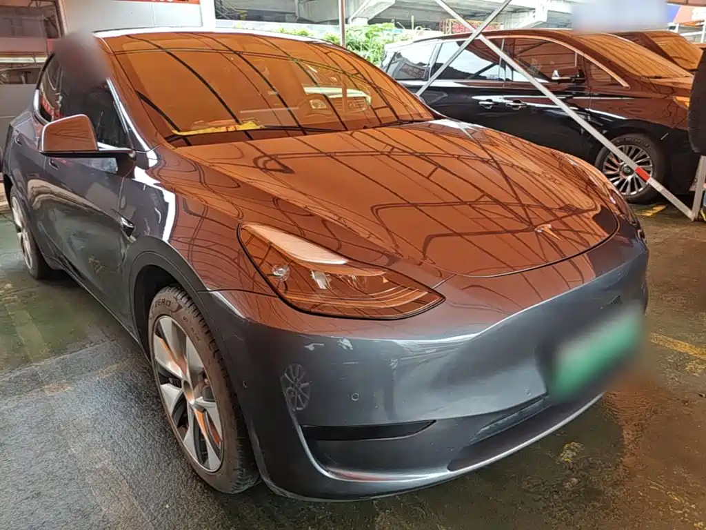 Tesla Model Y — миниатюра 4
