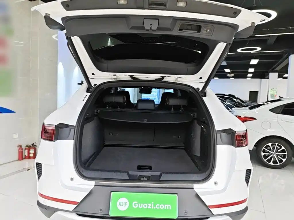 BYD PLUS New Energy — миниатюра 19