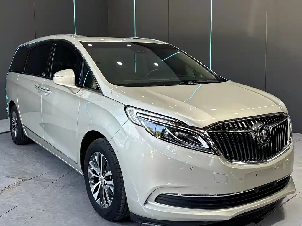 Buick GL8 — миниатюра 3