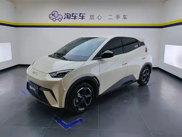 BYD SEAGULL 2024
