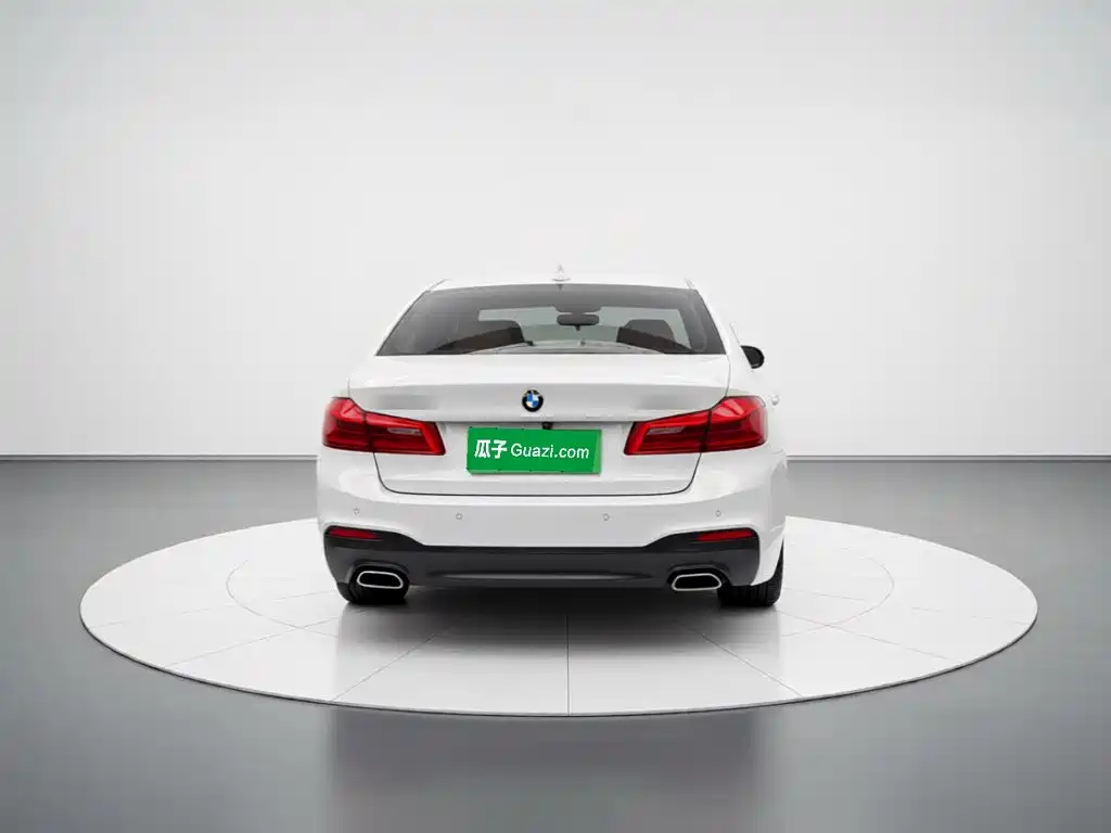 BMW 5 Series — миниатюра 5