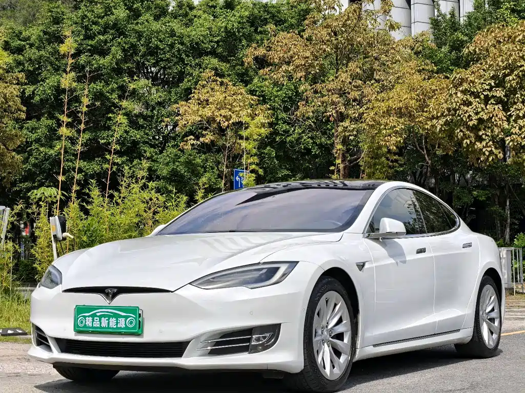 Tesla Model S 2019