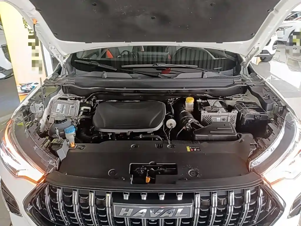 Haval Chitu — миниатюра 20
