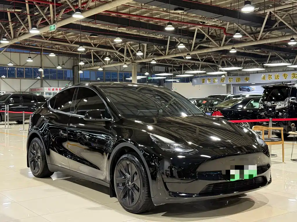 Tesla Model Y — миниатюра 3