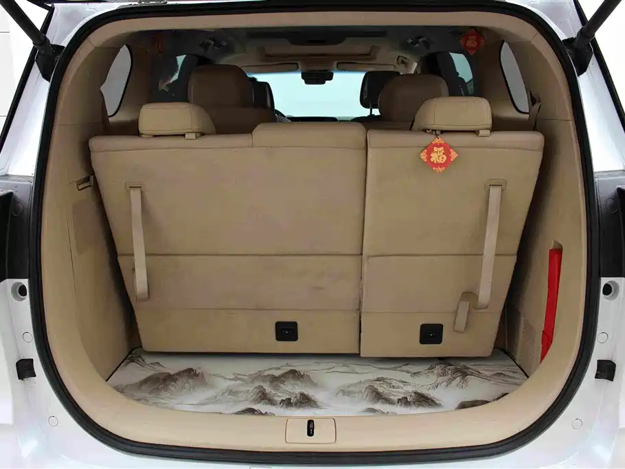 Buick GL8 — миниатюра 17