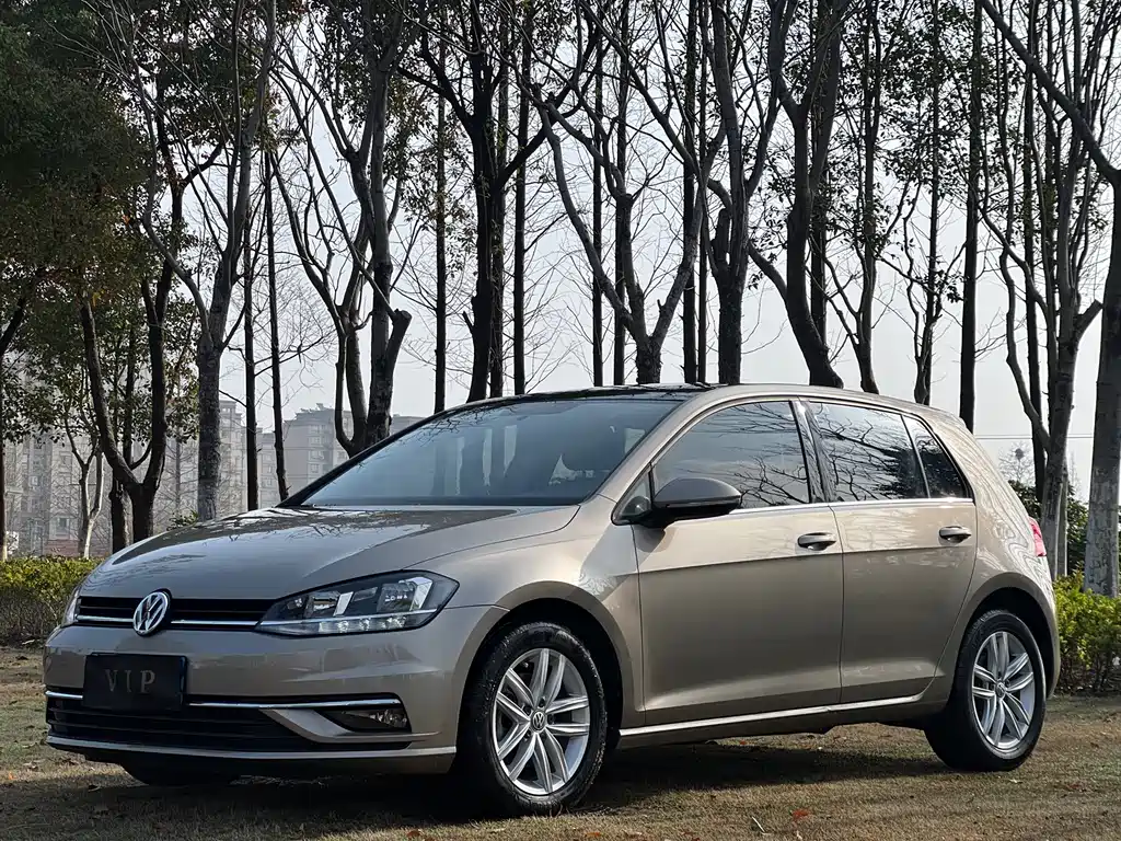 Volkswagen Golf 2019