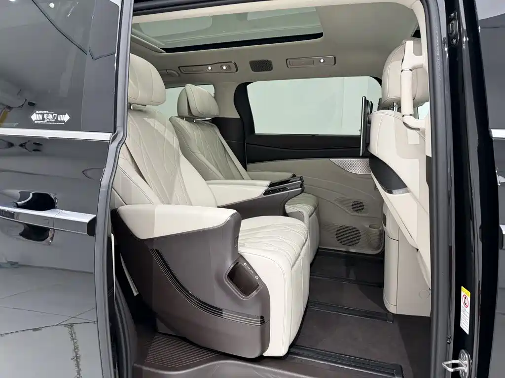Denza Denza D9 — миниатюра 21