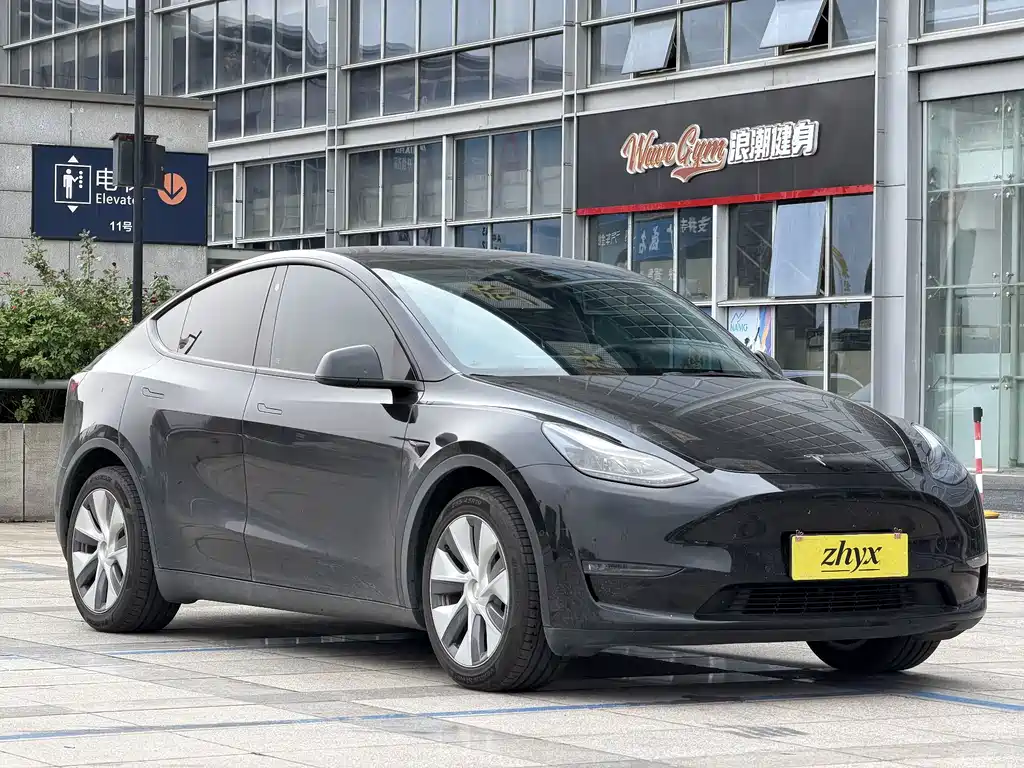 Tesla Model Y — миниатюра 2