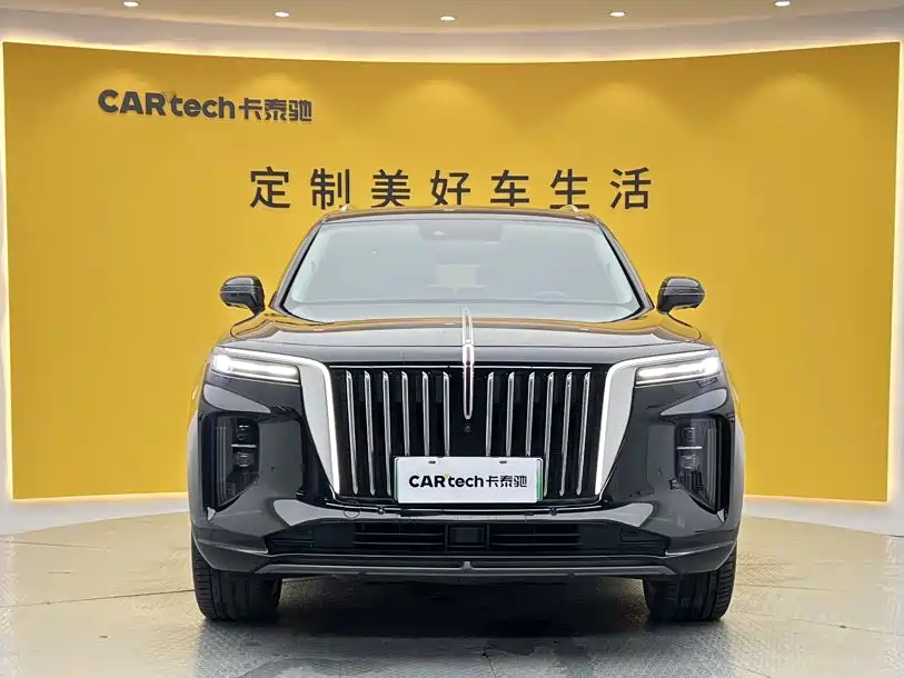 Hongqi Hongqi E-HS9 — миниатюра 3