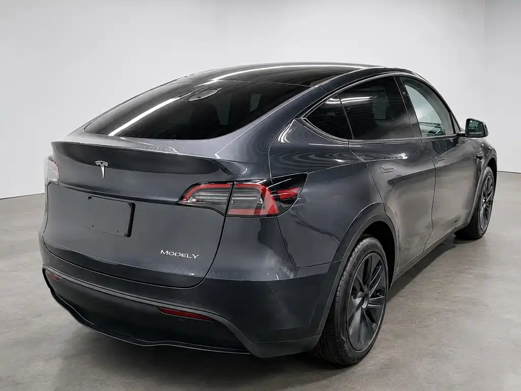 Tesla Model Y — миниатюра 6