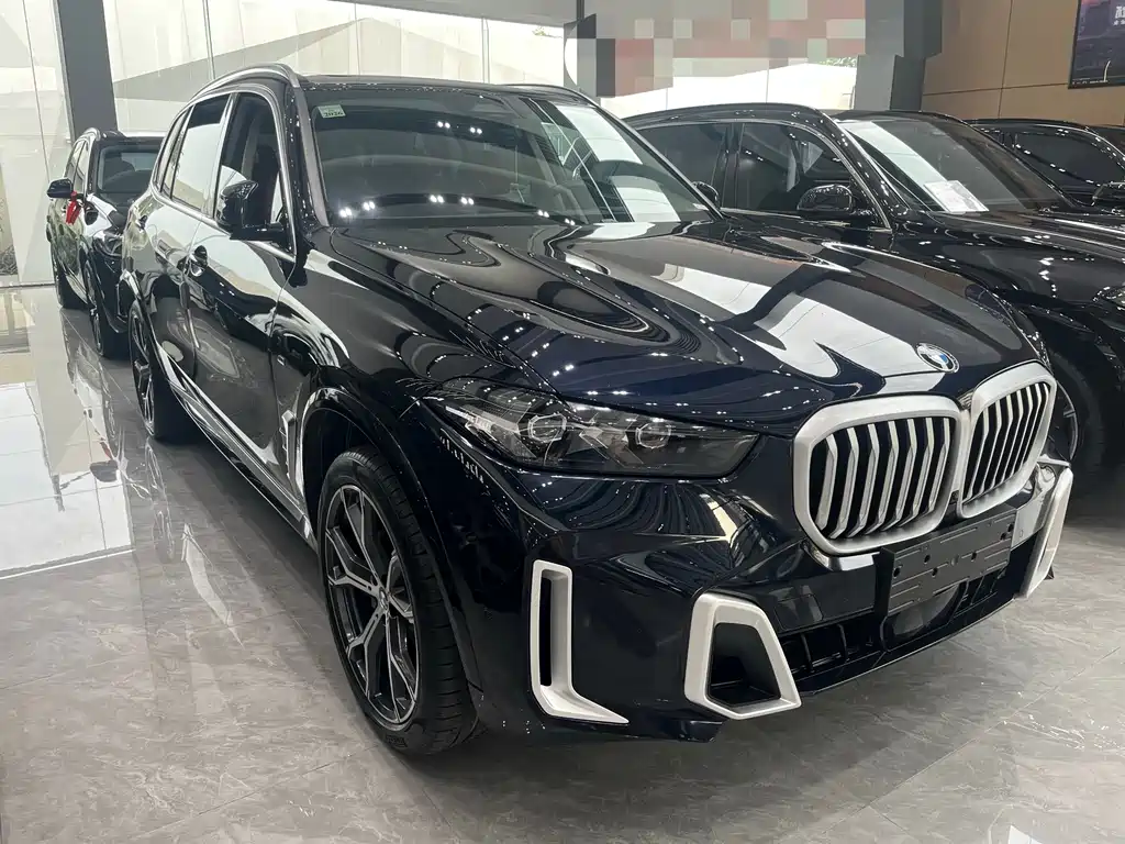 BMW X5 — миниатюра 3