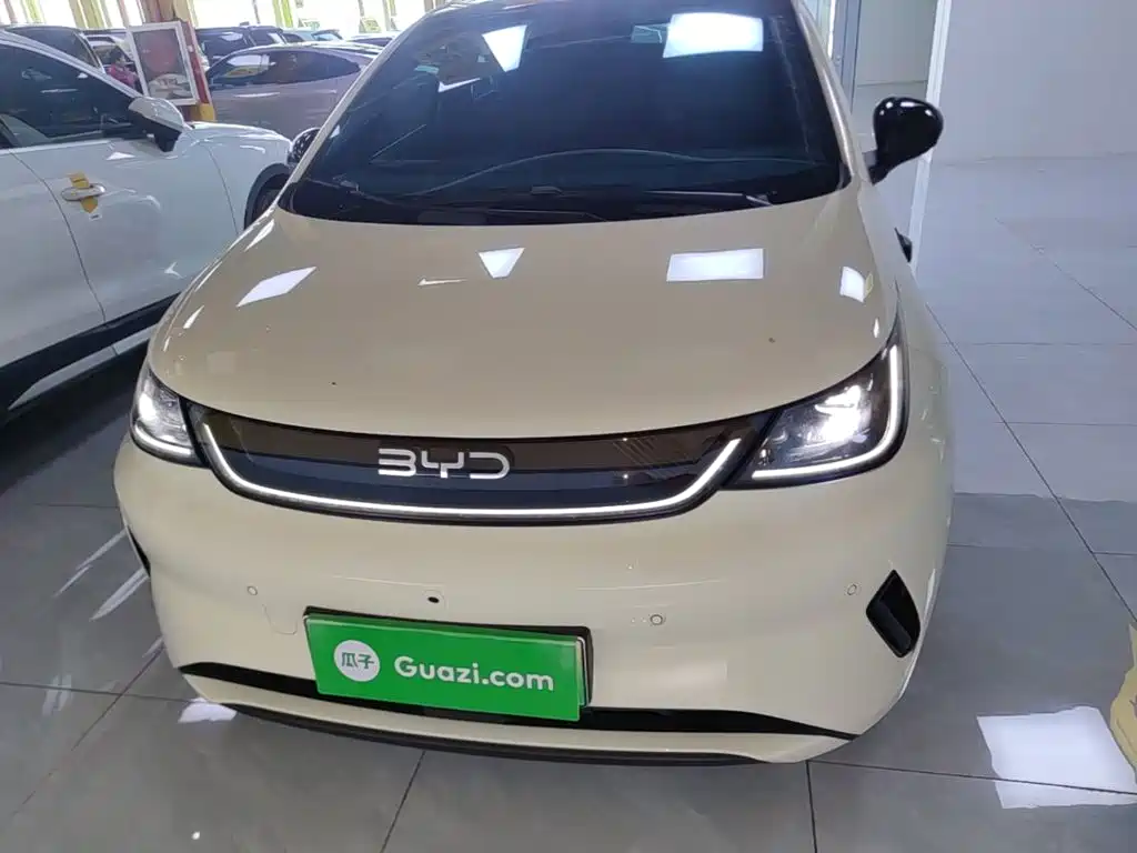 BYD Dolphin — миниатюра 3