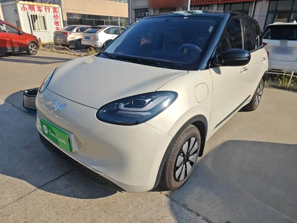 Wuling Bingo