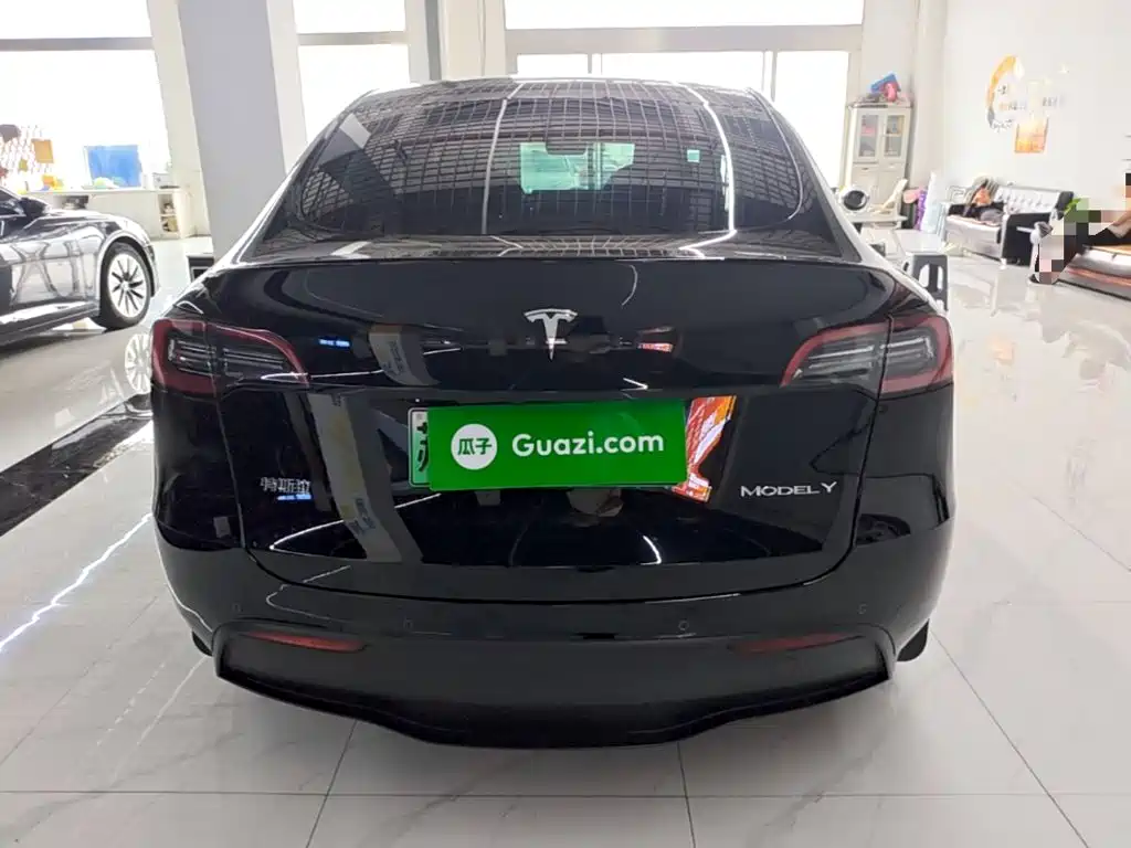 Tesla Model Y — миниатюра 6