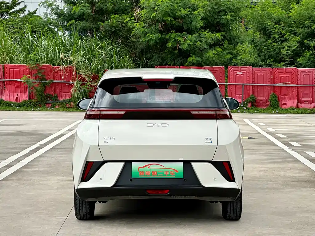 BYD Seagull 2025 Smart Drive 305km Freedom