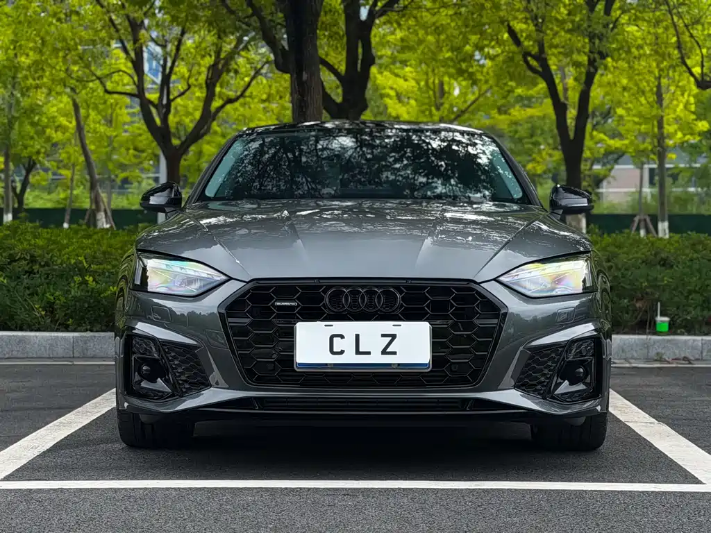 Audi A5 (Import) — миниатюра 2