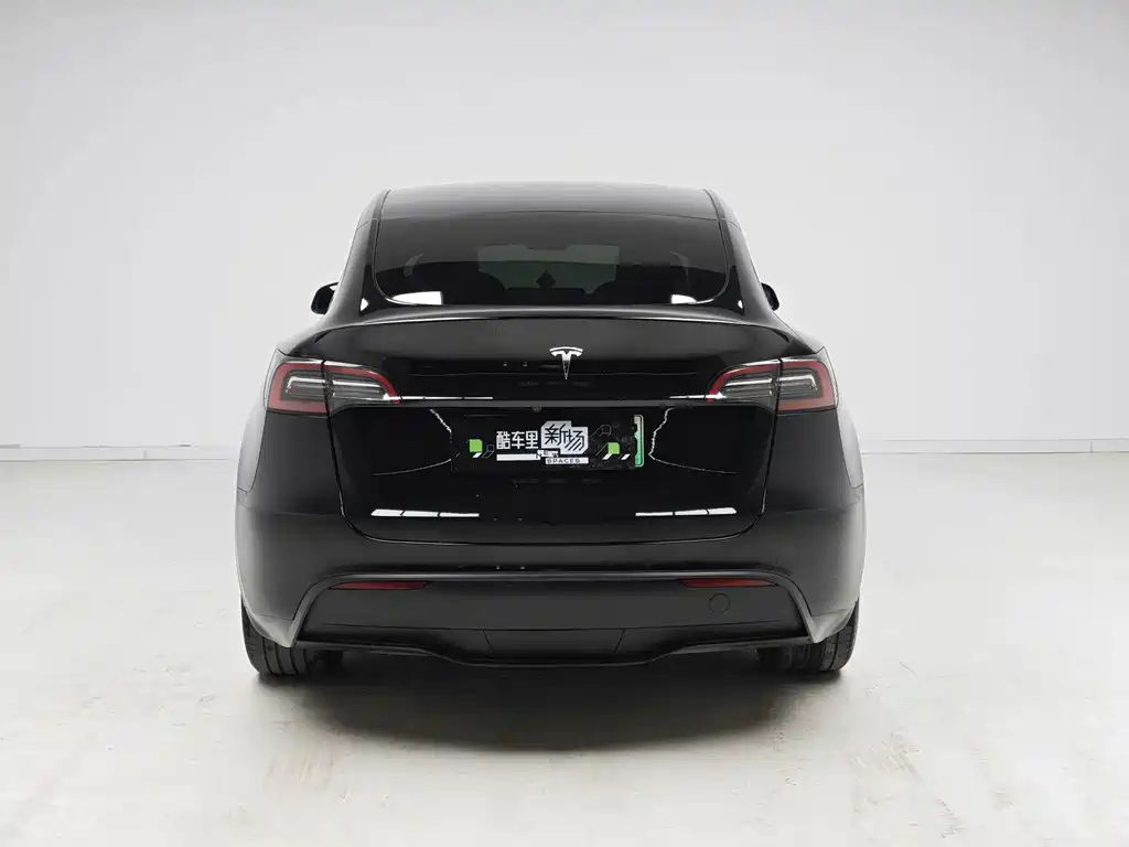 Tesla Model Y — миниатюра 5