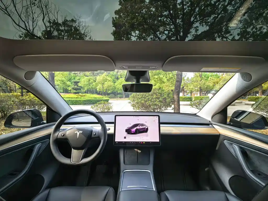 Tesla Model Y — миниатюра 6