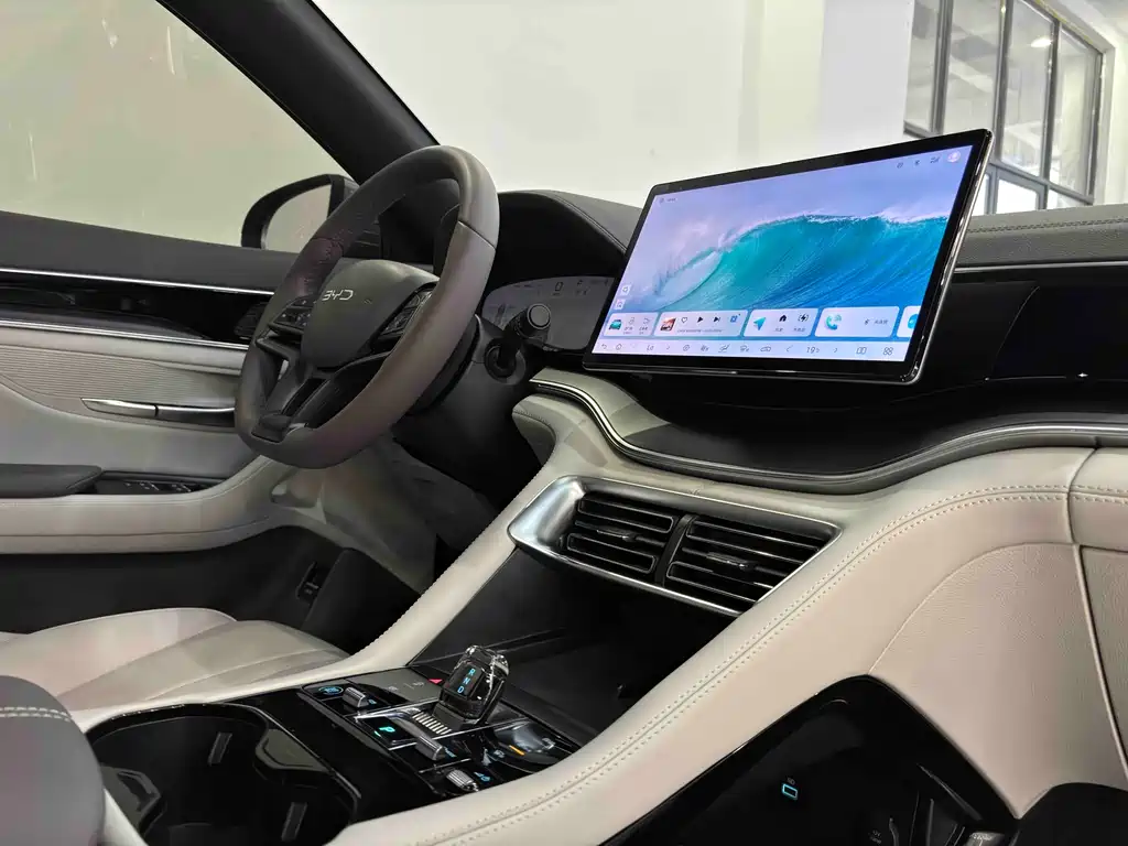 BYD PLUS New Energy — миниатюра 30
